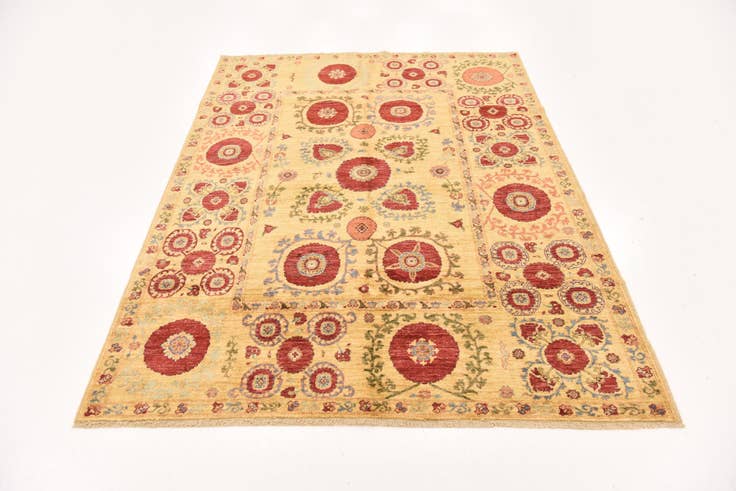 Detail image of 5' x 6' 9 Hand Knotted Ariana Ziegler Oriental Rug