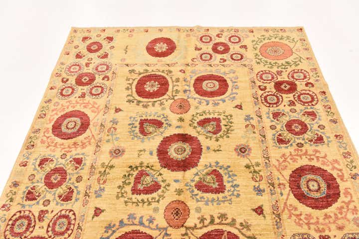5' x 6' 9 Hand Knotted Ariana Ziegler Oriental Rug