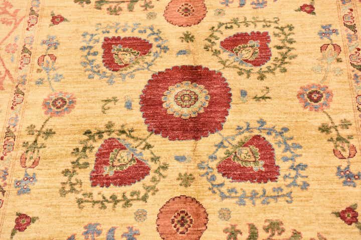 5' x 6' 9 Hand Knotted Ariana Ziegler Oriental Rug