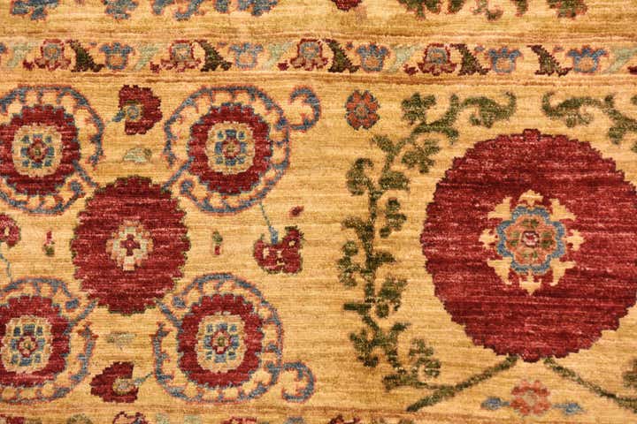 5' x 6' 9 Hand Knotted Ariana Ziegler Oriental Rug