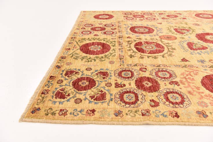 Detail image of 5' x 6' 9 Hand Knotted Ariana Ziegler Oriental Rug