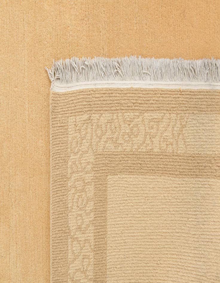 Detail image of 5' 7 x 7' 10  Hand Knotted Darya Wool Rug