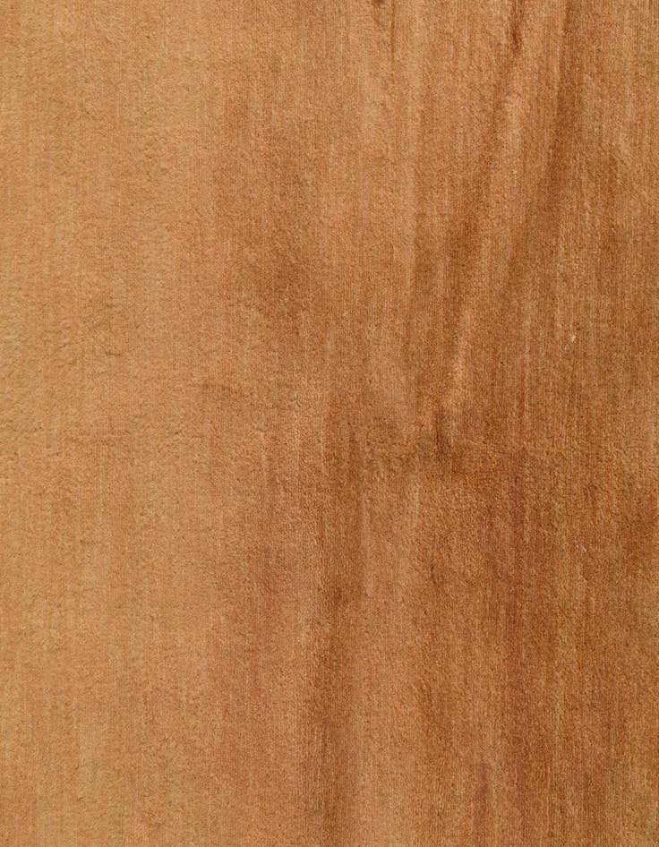 Detail image of 2' 8 x 4' 1  Hand Knotted Kashkuli Gabbeh Oriental Wool Rug