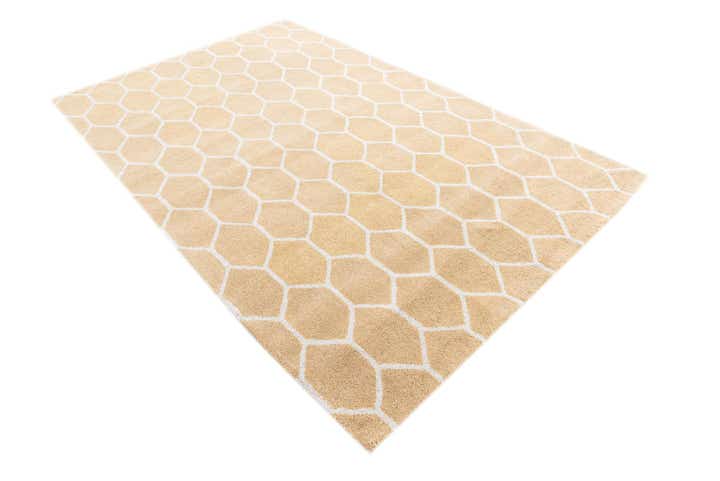 5' x 8' Luna Rug
