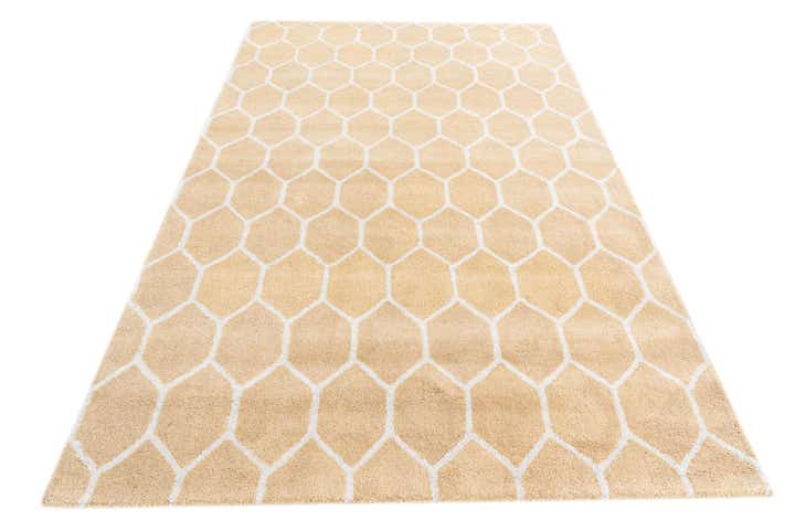 5' x 8' Luna Rug