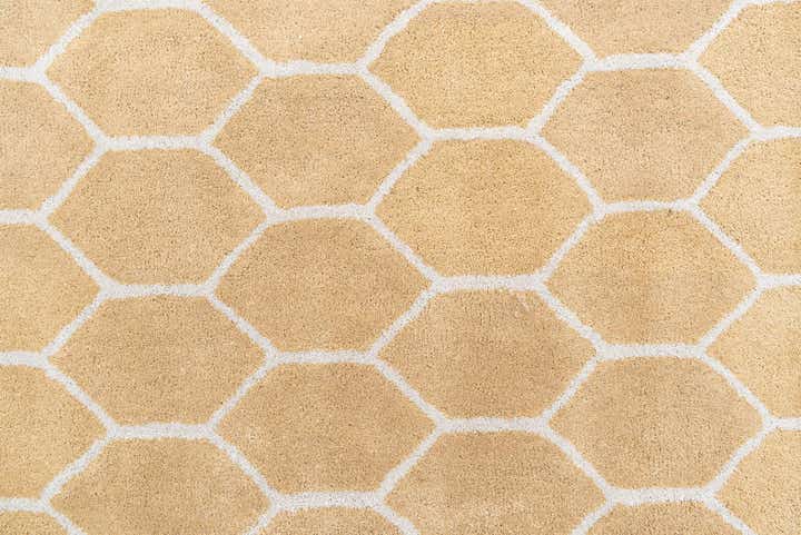 5' x 8' Luna Rug