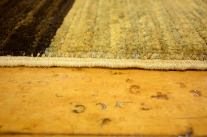 3' 2 x 4' 9 Hand Knotted Modern Ziegler Oriental Rug