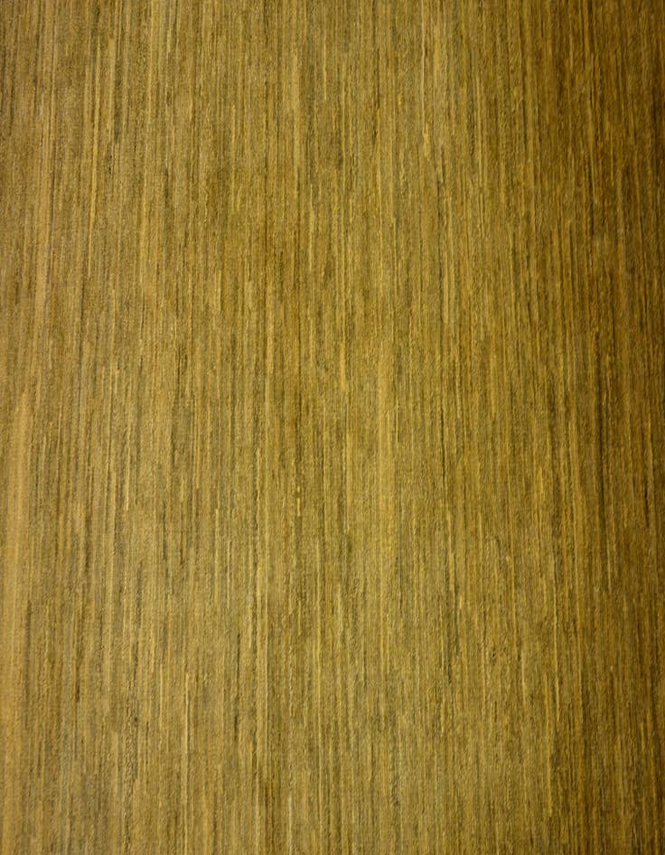 Detail image of 3' 10 x 5' 11  Hand Knotted Modern Ziegler Oriental Rug