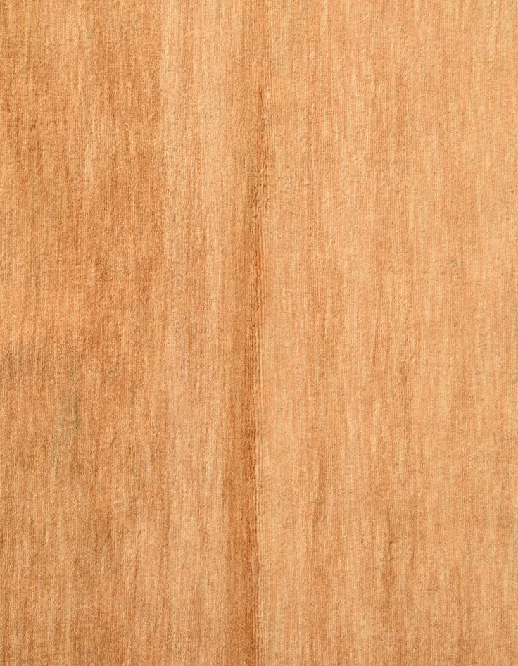 Detail image of 4' 2 x 6' 5  Hand Knotted Peshawar Ziegler Rug