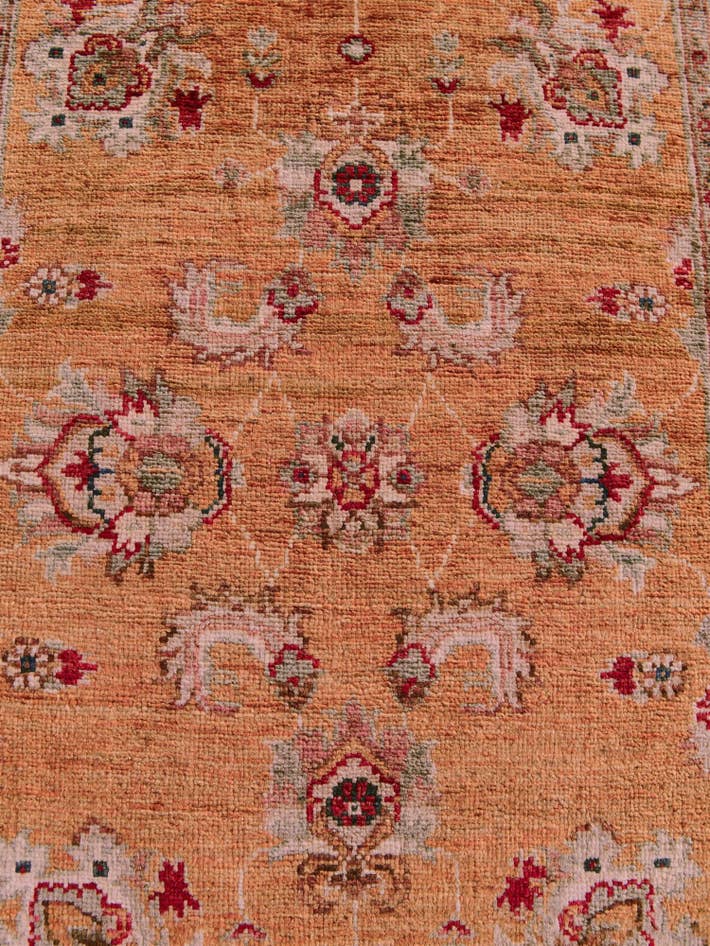 Detail image of 2' 8 x 10' 5 Hand Knotted Ariana Ziegler Runner Rug