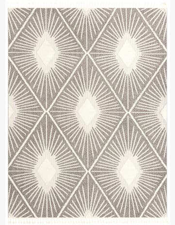 9' x 12' Boho Rug