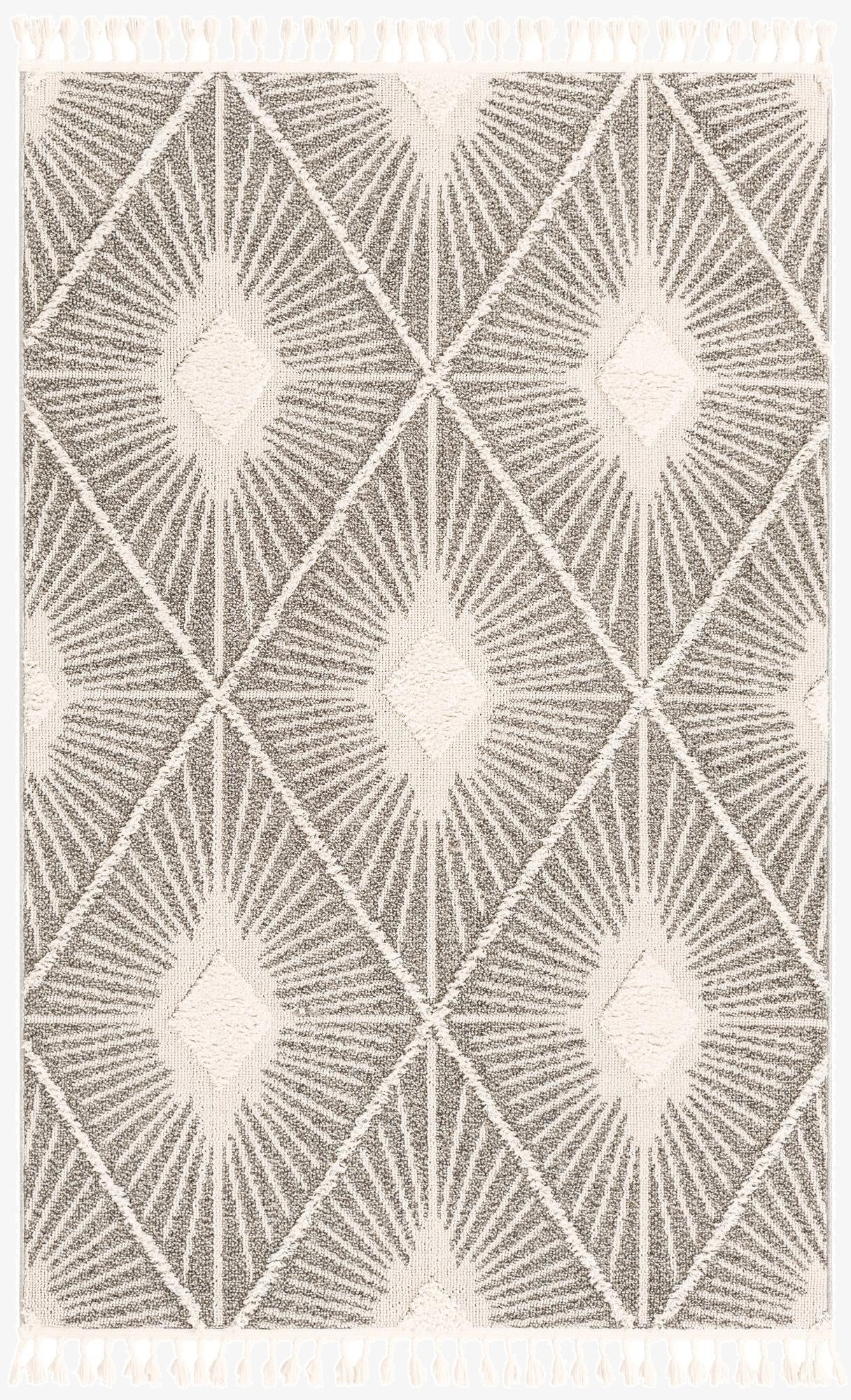 Primary image 4' x 6' Boho Rug