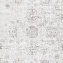 Rug Gray Swatch link