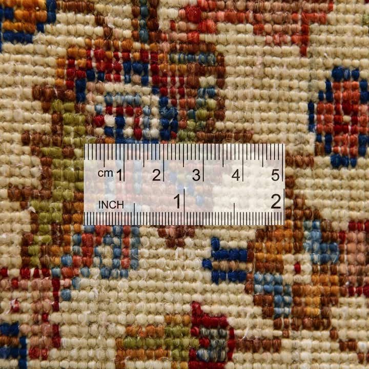 4' 1 x 6' 1 Hand Knotted Ariana Ziegler Rug
