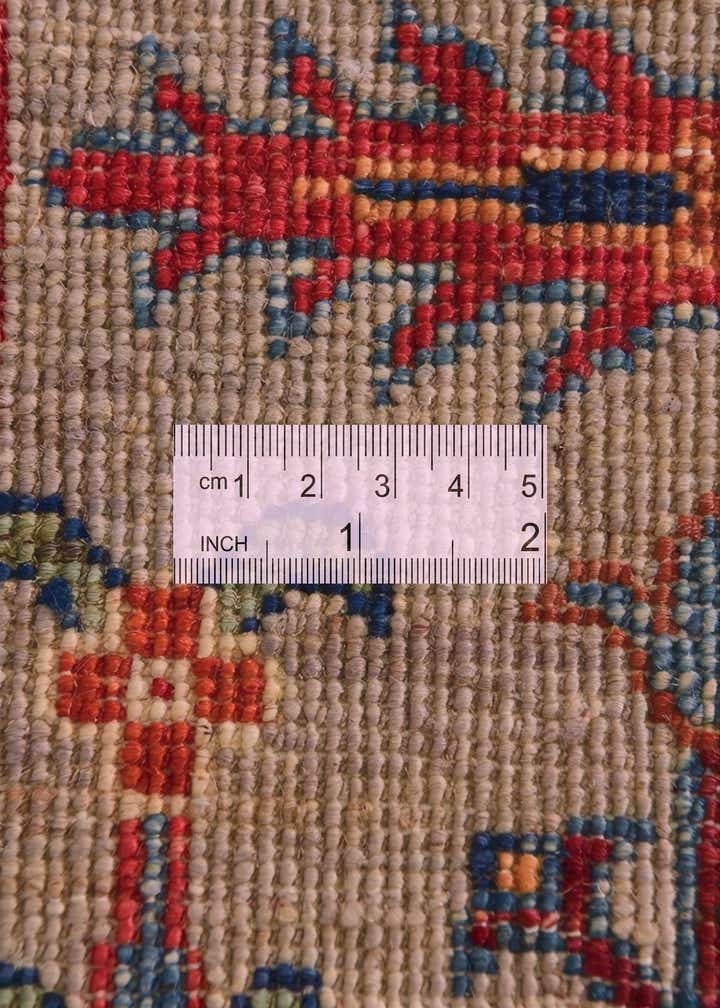 4' 1 x 6' 1 Hand Knotted Ariana Ziegler Rug