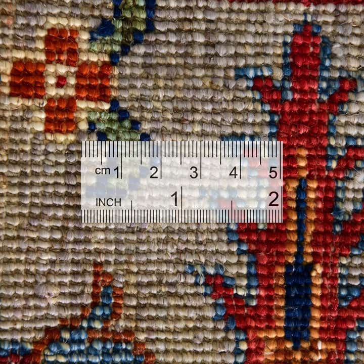 4' 1 x 6' 1 Hand Knotted Ariana Ziegler Rug