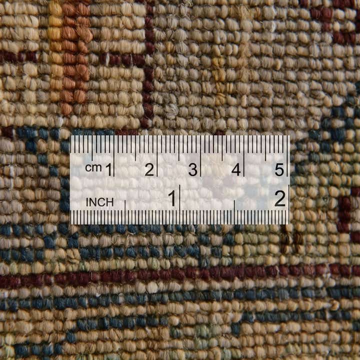 3' 3 x 4' 11 Hand Knotted Ariana Ziegler Rug