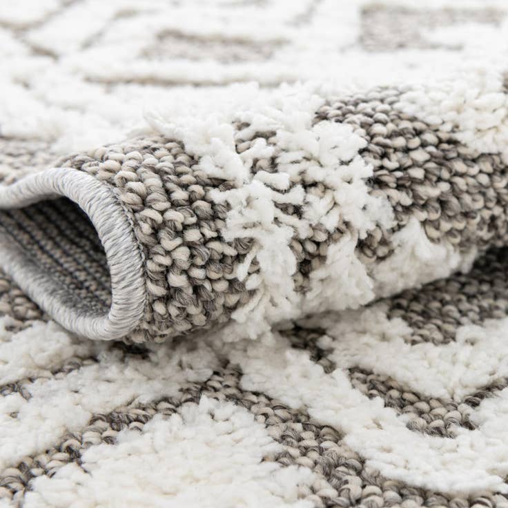 Detail image of 4' x 6' Boho Rug