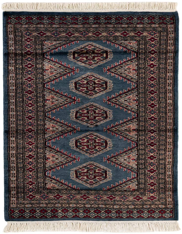 Detail image of 2' 7 x 4' 3 Hand Knotted Bokhara Oriental Rug