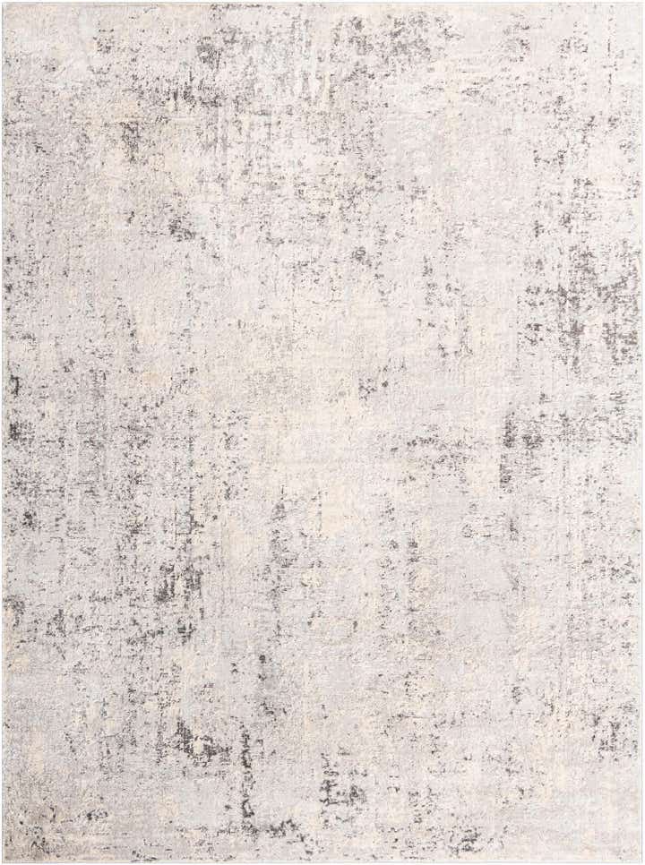 10' x 13' Caspian Rug