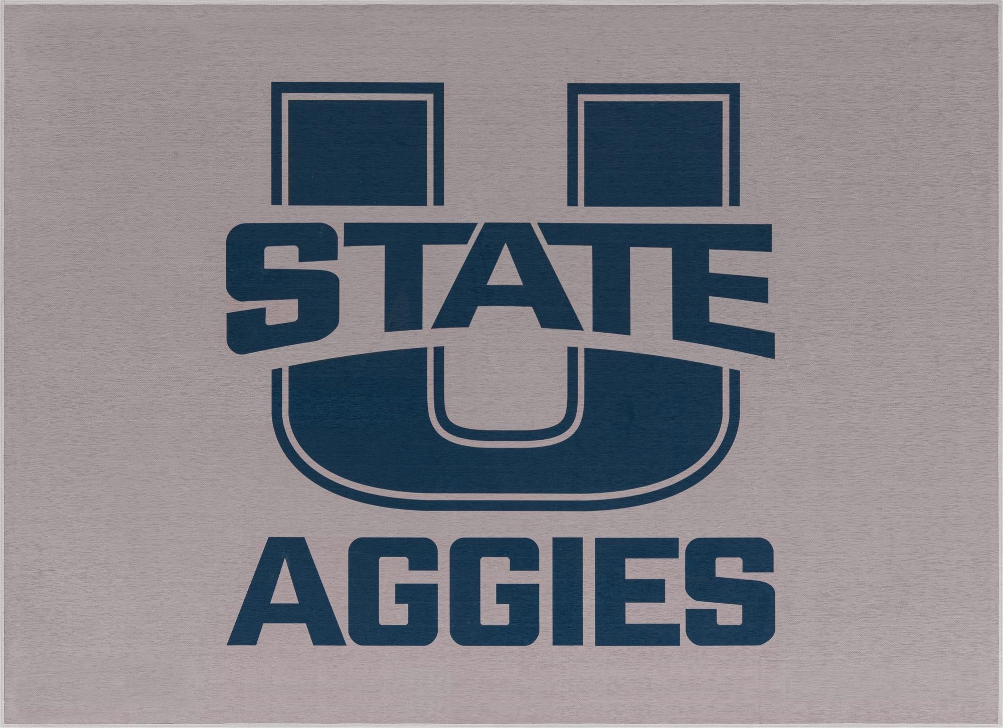 5' x 7' College Collection Rug