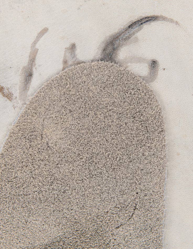 Detail image of 5' 9 x 6' 3 Cowhide Leather Rug