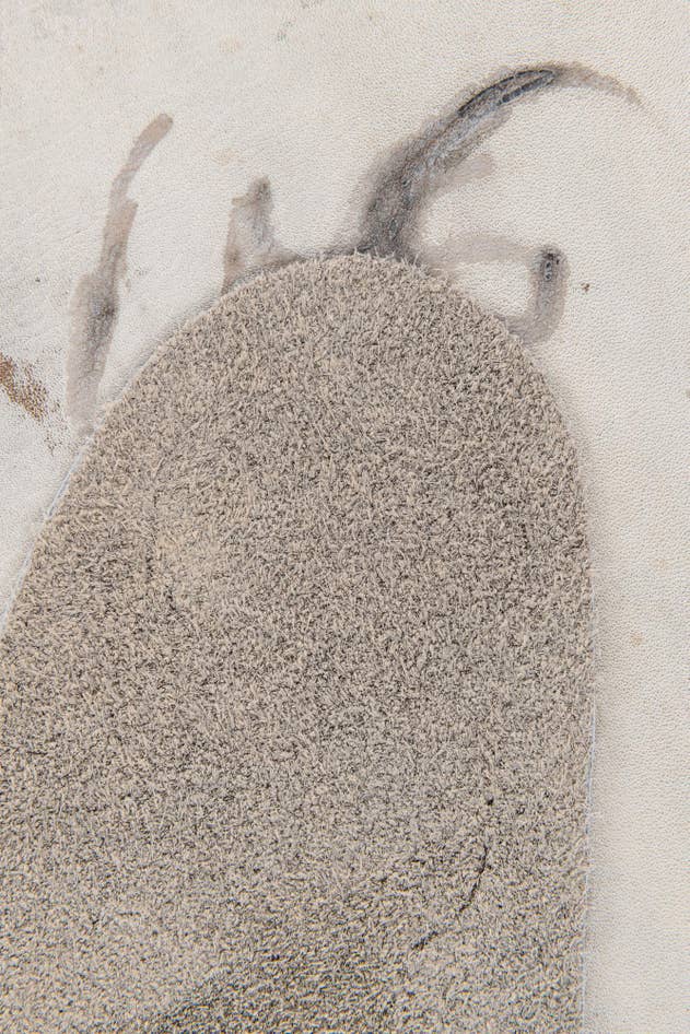 Detail image of 5' 9 x 6' 3 Cowhide Leather Rug