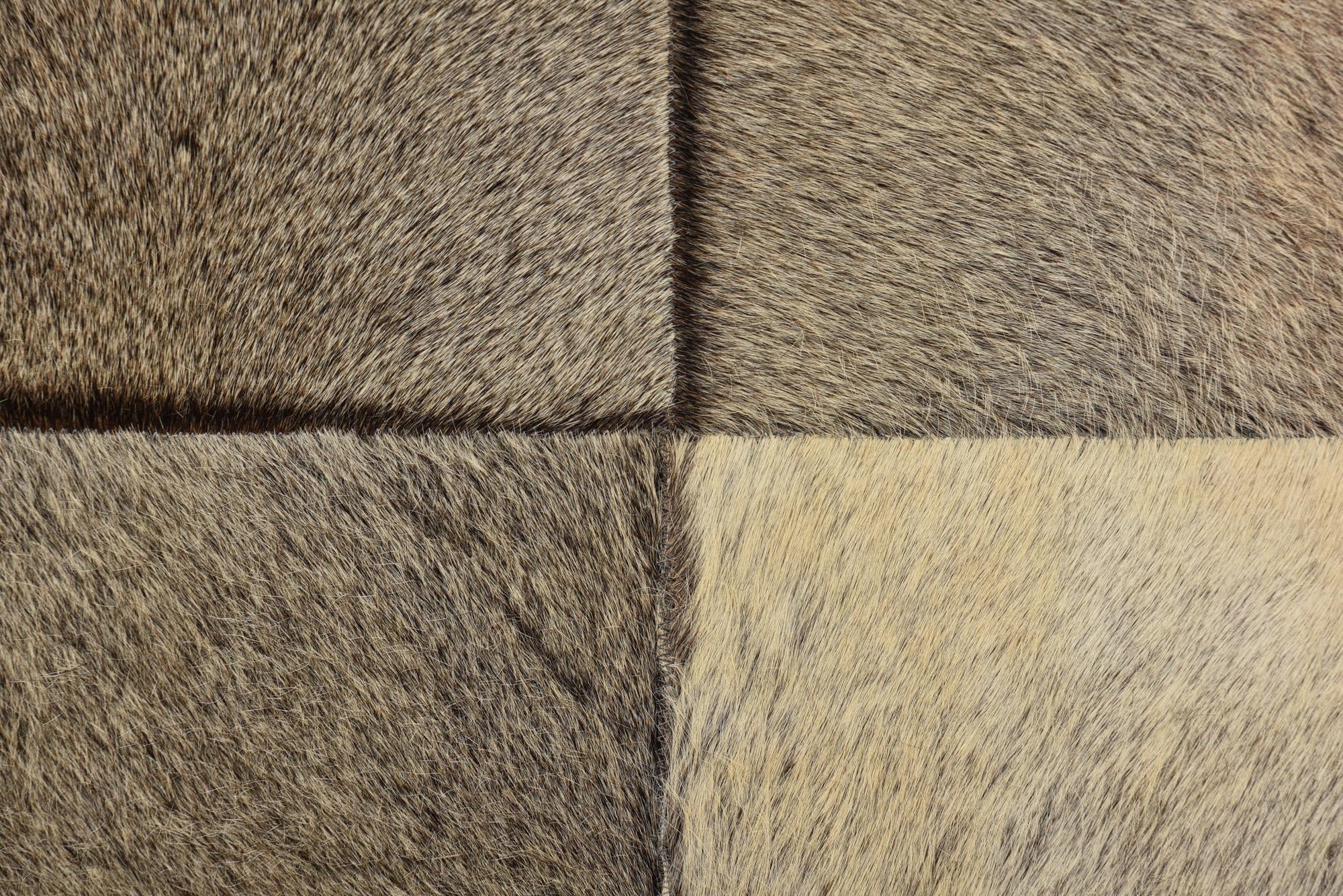 2' 1 x 3' 1 Cowhide Rug