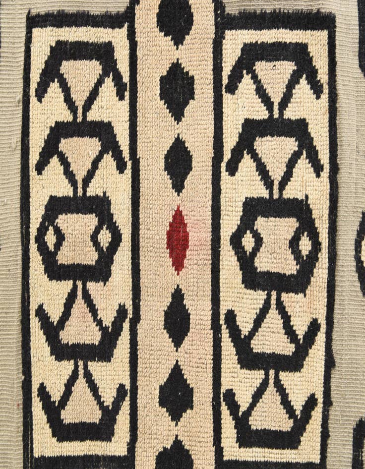 Detail image of 8' 10 x 12' 8  Hand Knotted Darya Wool Rug