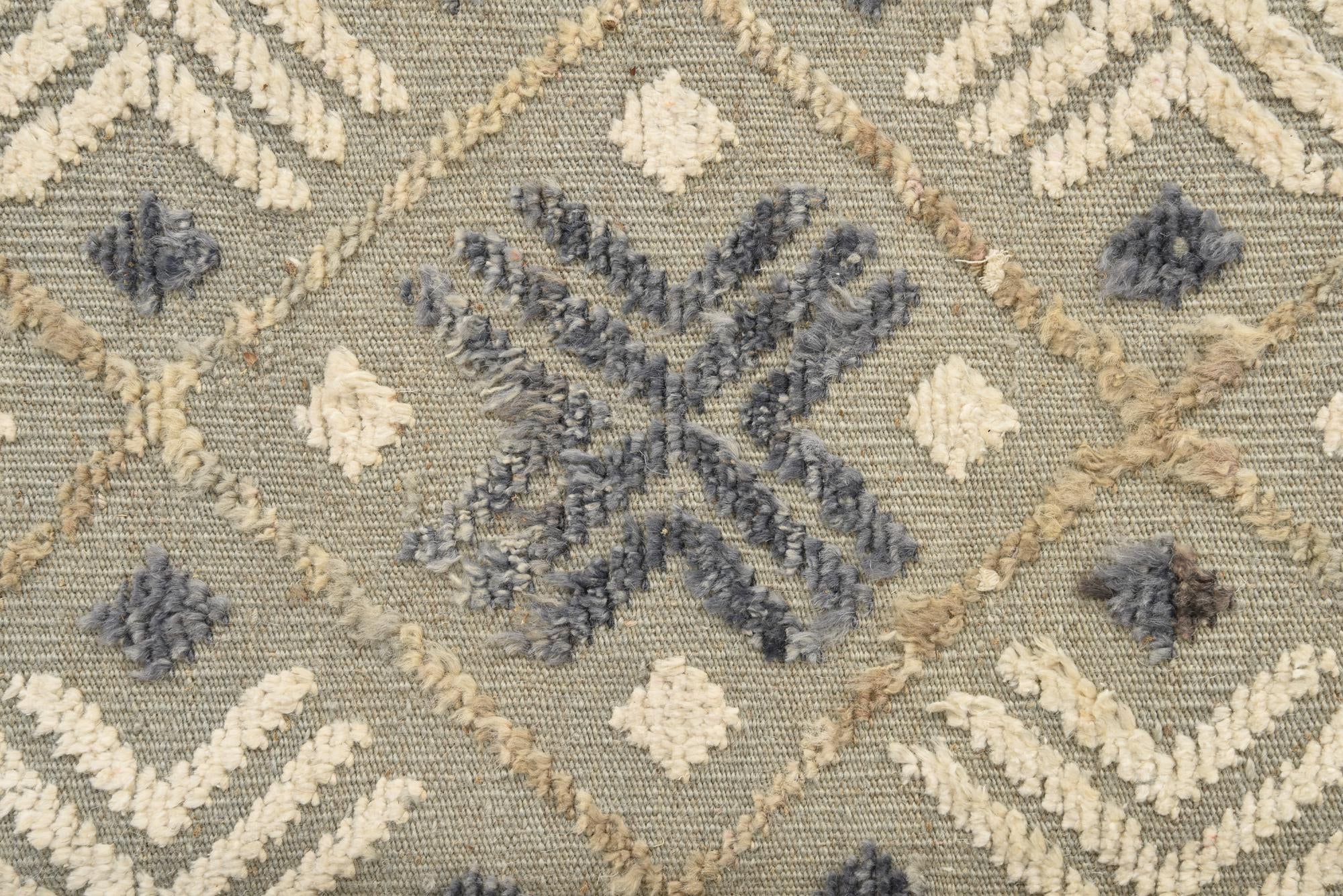 8' 10 x 12' 6 Hand Knotted Darya Wool Rug