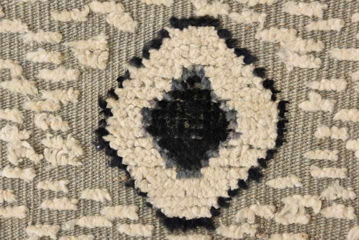 8' 10 x 12' 6 Hand Knotted Darya Wool Rug