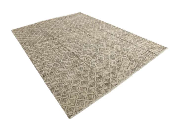 8' 8 x 11' 9 Hand Knotted Darya Wool Rug