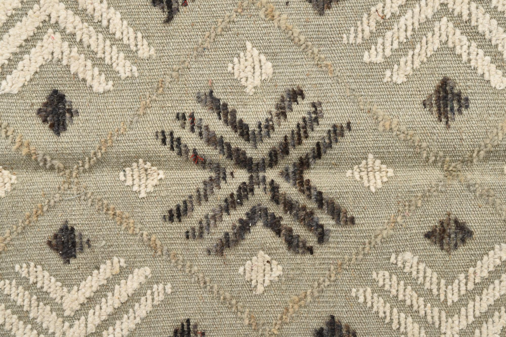 8' 9 x 12' 3 Hand Knotted Darya Wool Rug