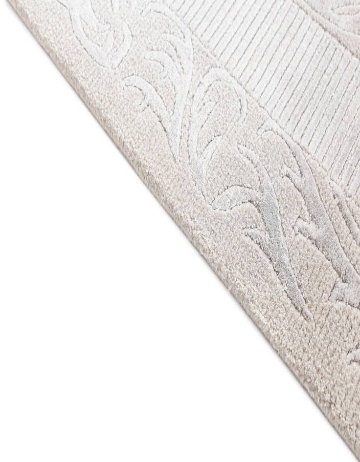 Detail image of 2' 8 x 5' 2  Hand Knotted Darya Wool Rug