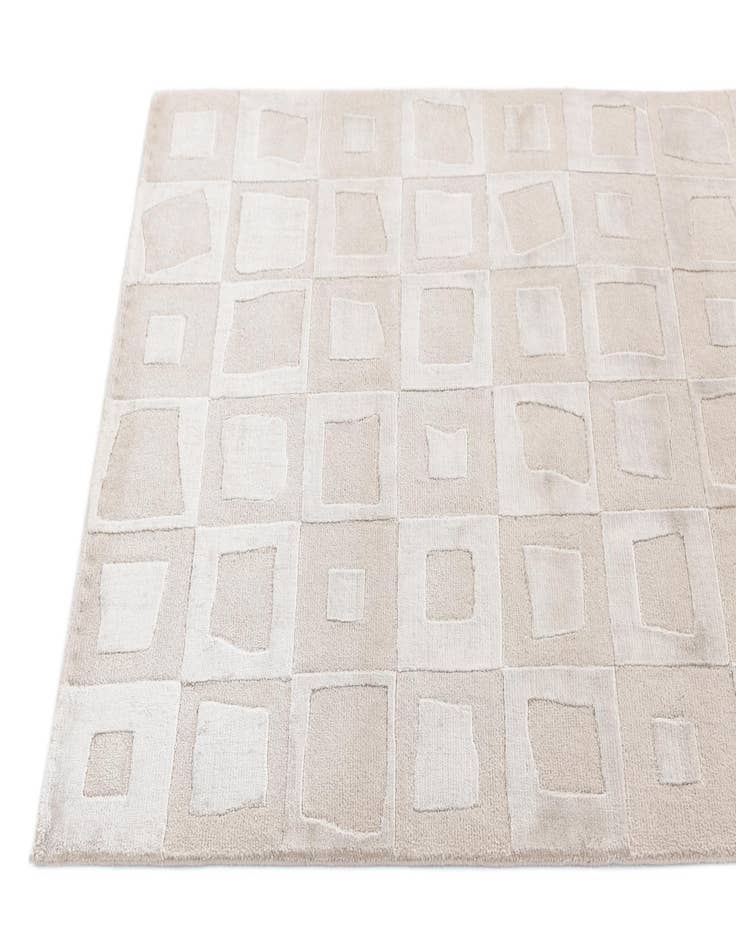 Detail image of 3' 1 x 5' 2  Hand Knotted Darya Wool Rug