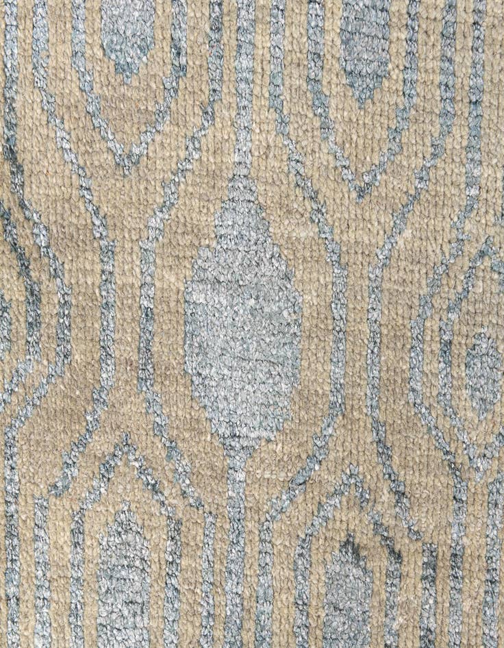 Detail image of 3' 8 x 6'  Hand Knotted Darya Rug