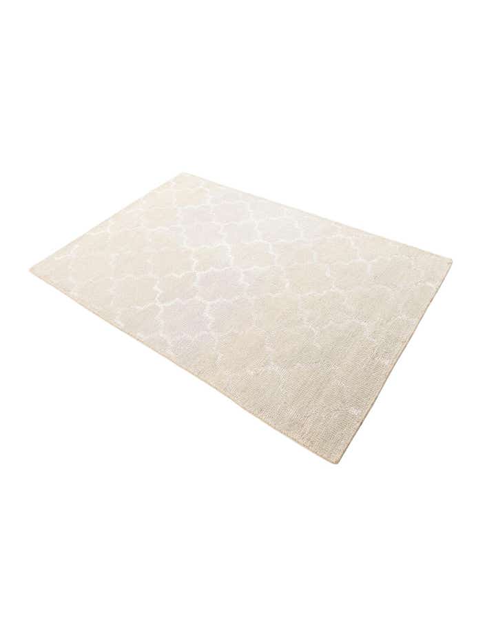 4' x 6' Hand Knotted Darya Rug