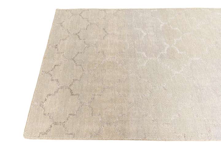 4' x 6' Hand Knotted Darya Rug