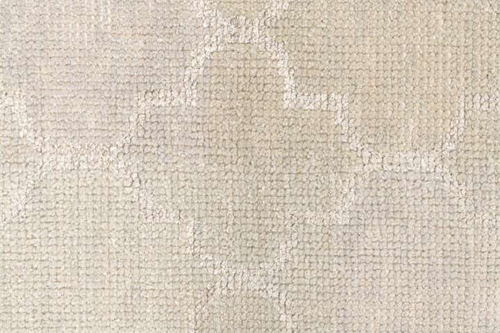 4' x 6' Hand Knotted Darya Rug