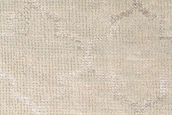 4' x 6' Hand Knotted Darya Rug