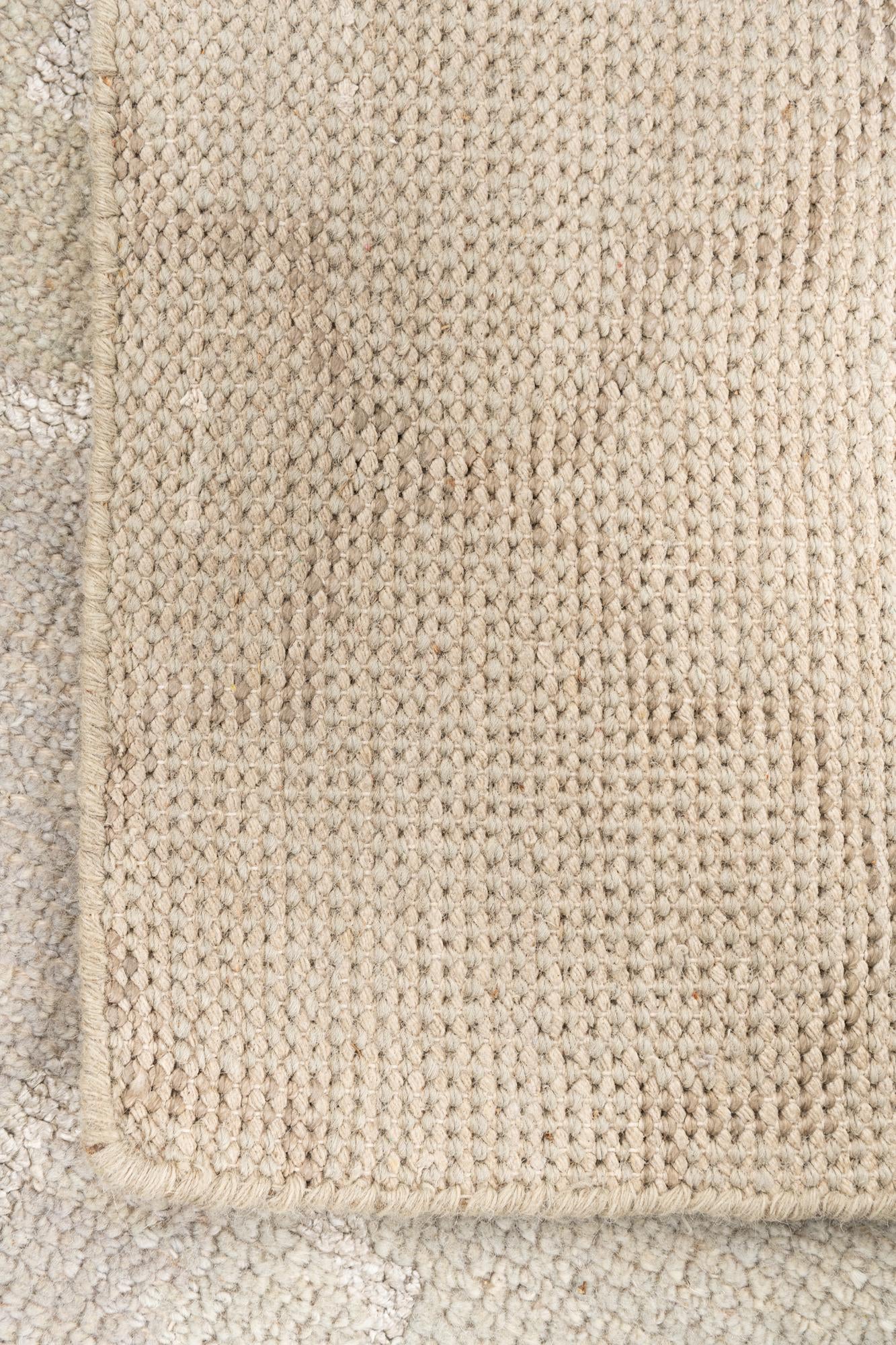 4' x 6' Hand Knotted Darya Rug