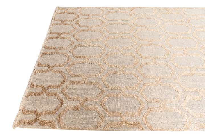 4' 10 x 7' 10 Hand Knotted Darya Rug