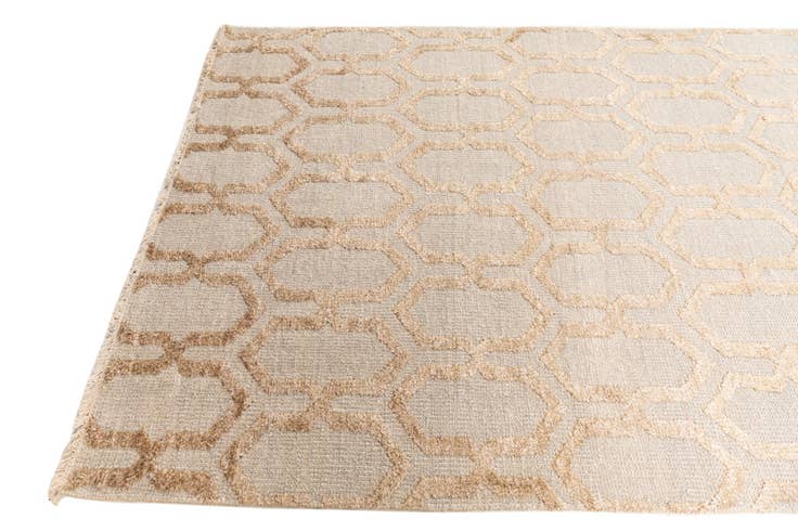 Detail image of 4' 10 x 7' 10 Hand Knotted Darya Rug