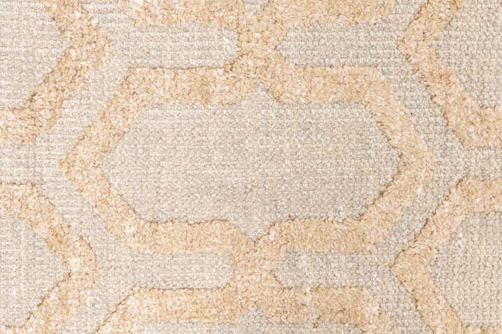 4' 10 x 7' 10 Hand Knotted Darya Rug