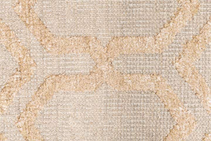 4' 10 x 7' 10 Hand Knotted Darya Rug