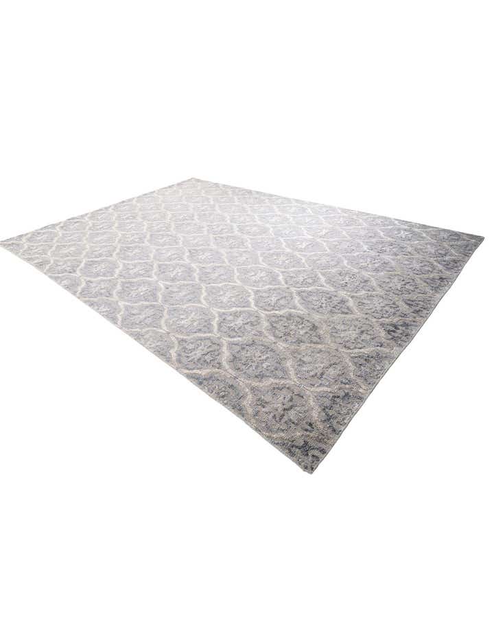 9' 7 x 13' 7 Hand Knotted Darya Rug