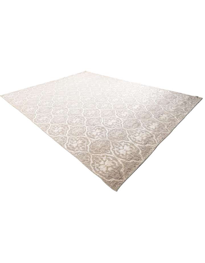 9' 8 x 13' 3 Hand Knotted Darya Rug