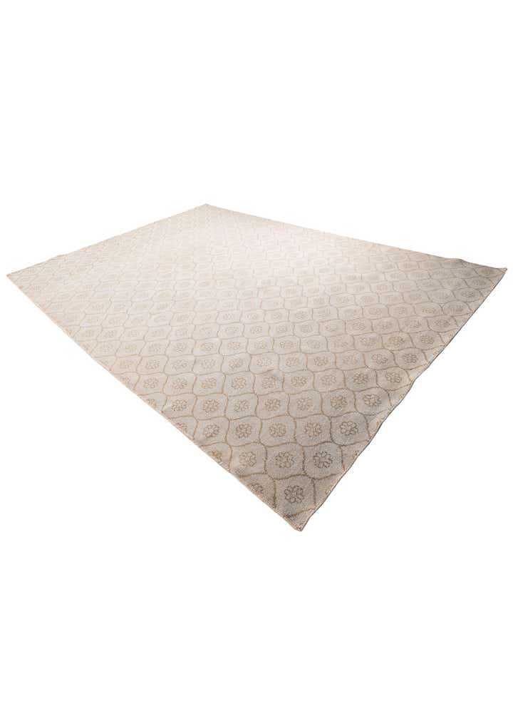 9' 8 x 13' 9 Hand Knotted Darya Wool Rug