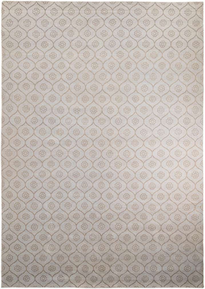 9' 8 x 13' 9 Hand Knotted Darya Wool Rug
