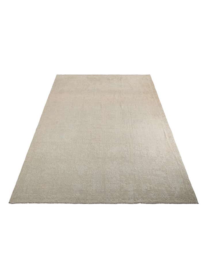 9' 8 x 13' 8 Hand Knotted Darya Wool Rug